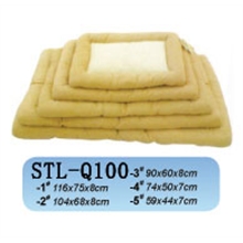 STL-Q100