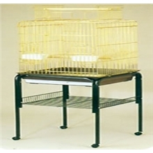 CAGE
